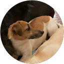 Carol Marshall profile picture